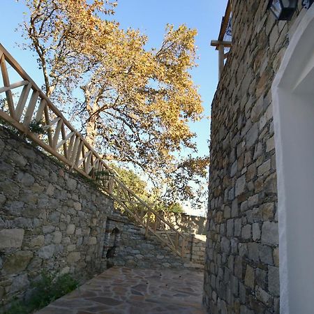 Vila Ικαριων Γη Manganítis Exteriér fotografie