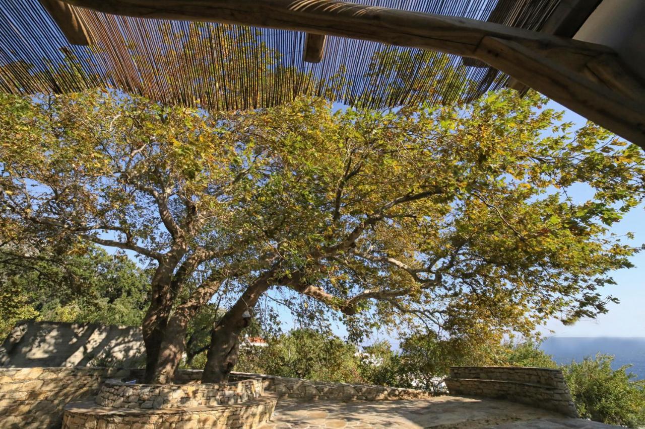 Vila Ικαριων Γη Manganítis Exteriér fotografie