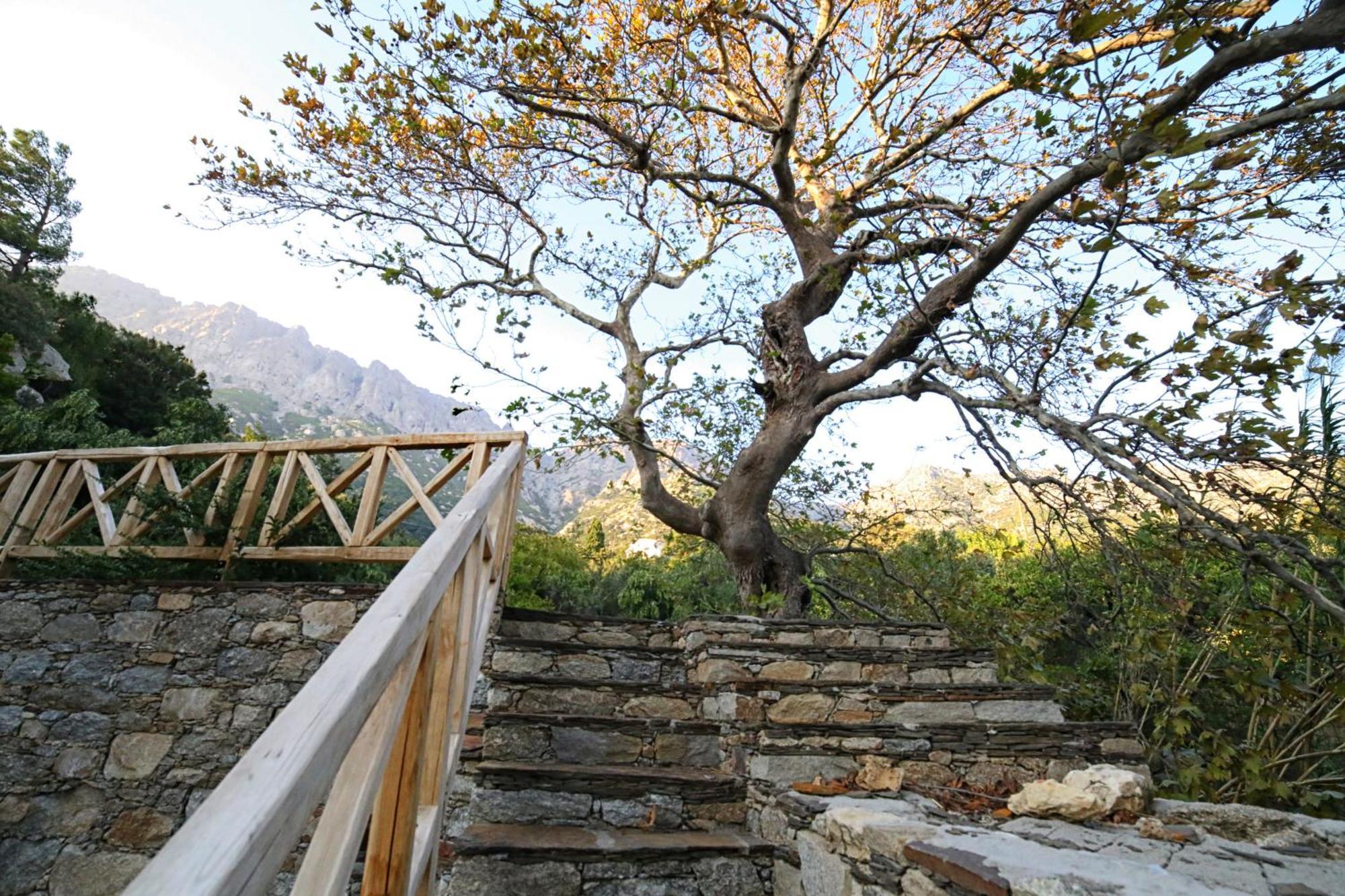 Vila Ικαριων Γη Manganítis Exteriér fotografie